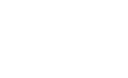 Sistema Único de Saúde